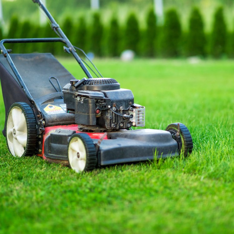 Landscaping and Property Maintenance in Baton Rouge, LA